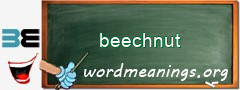 WordMeaning blackboard for beechnut